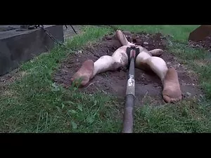 三人組セックスとともに若いnympho  ...